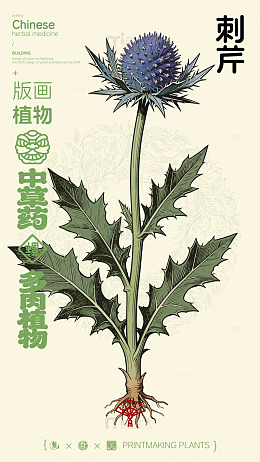 版画风格中草药刺芹设计素材