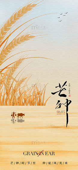芒种节气麦穗田园水墨海报