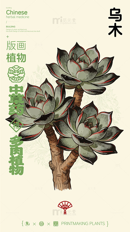 版画风格乌木多肉植物设计图
