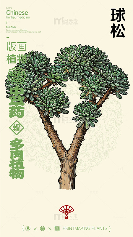中医草药球松版画素材