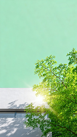 清新建筑绿意阳光风景图