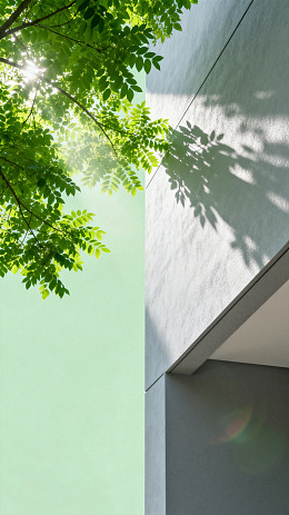 绿意建筑光影