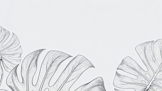 线描植物叶子背景素材