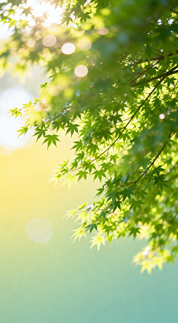 春光枫叶美景
