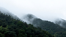 山林云雾缭绕