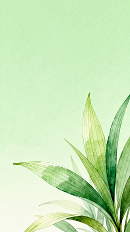 水彩绿叶植物装饰画