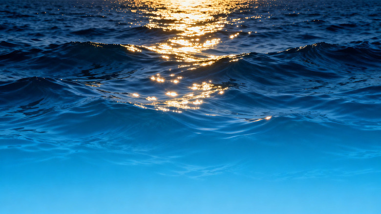 夕阳海面光影片