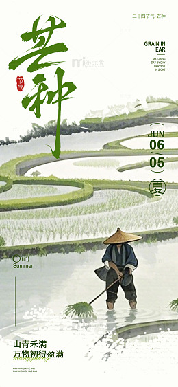芒种节气农田插画设计素材