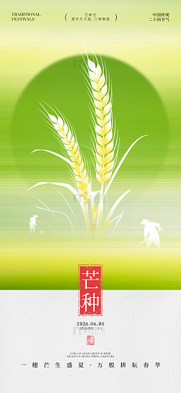 芒种节气麦穗插画海报设计