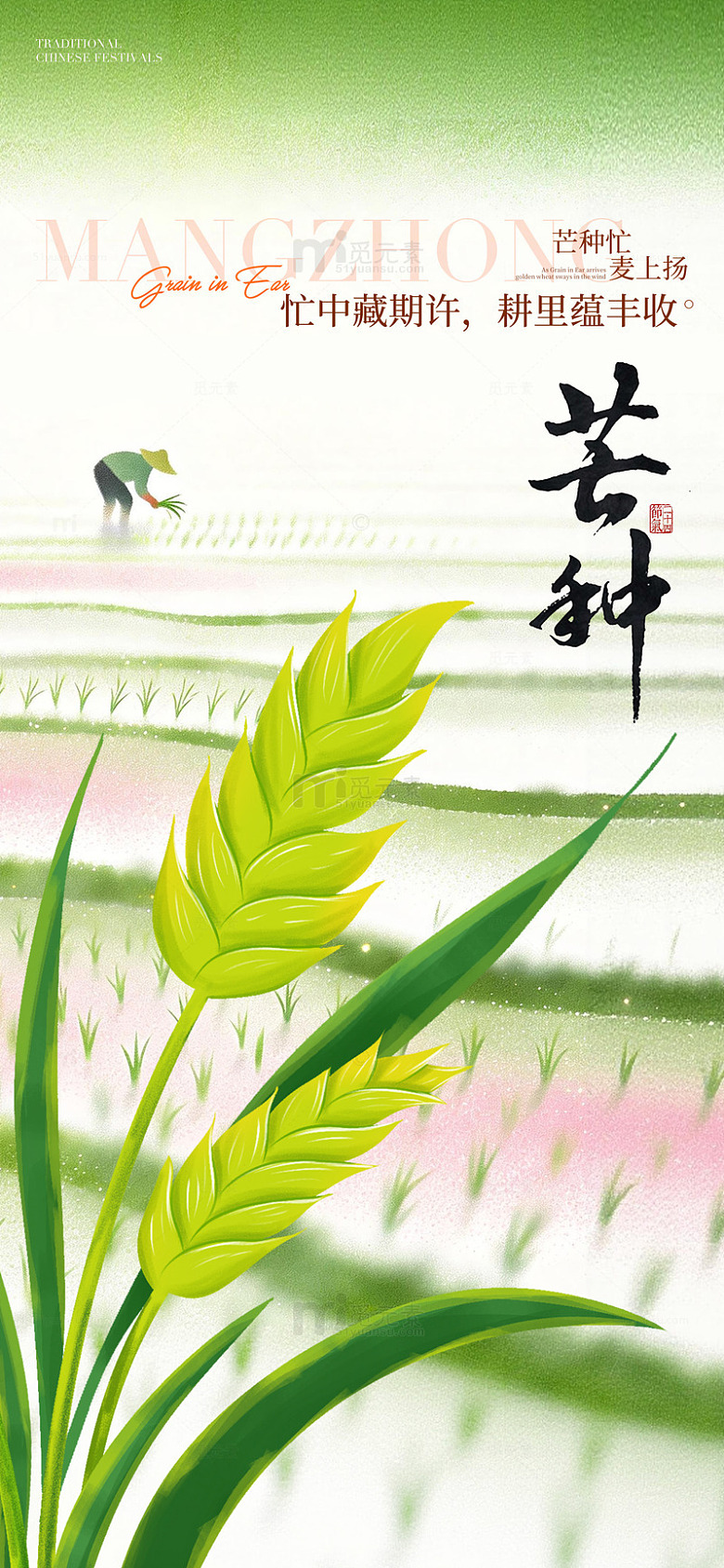 芒种节气农田插画