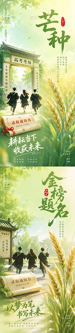 芒种高考系列插画海报