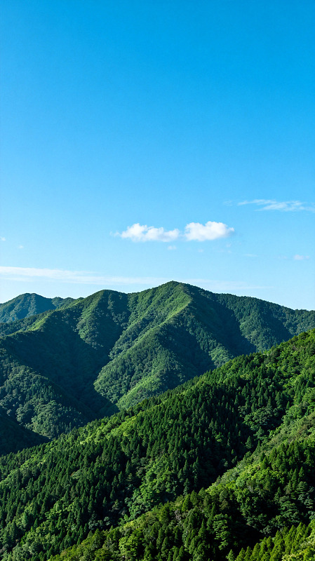 青山绿水风光