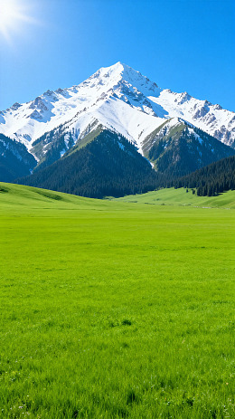 雪山草原风光