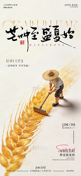 芒种节气麦收海报设计