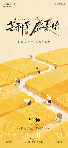 稻田插画芒种节气宣传海报