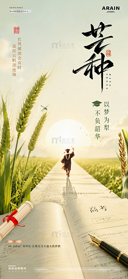 地产高考芒种麦穗光影海报2