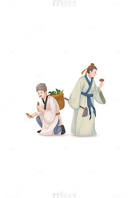 中医采摘草药人物插画