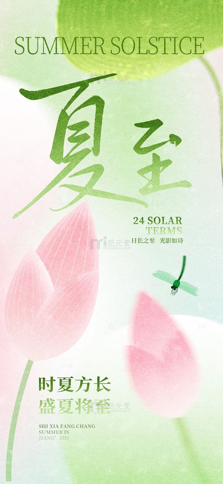 夏至荷花蜻蜓海报设计素材