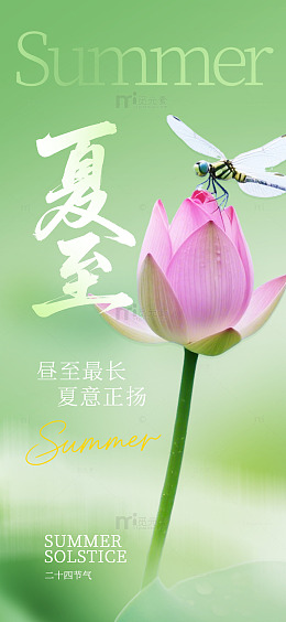 荷花蜻蜓夏至海报设计