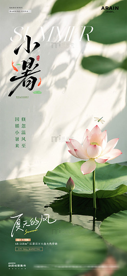 地产夏至小暑荷花节气海报2