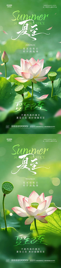 荷花夏至海报设计素材