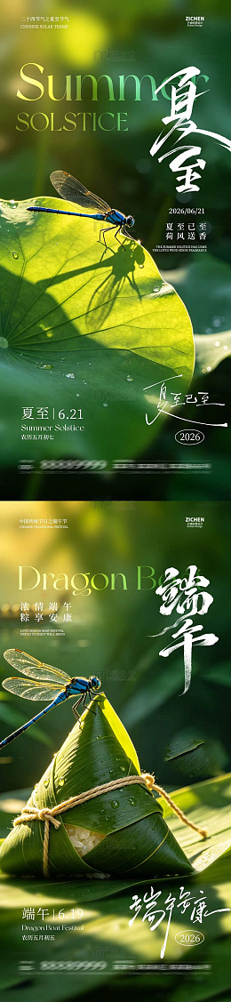 夏日蜻蜓粽子海报设计