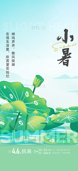 小暑荷塘插画设计素材