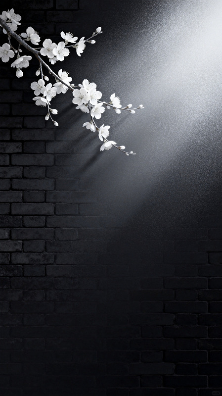 黑白风樱花枝光影墙绘设计素材