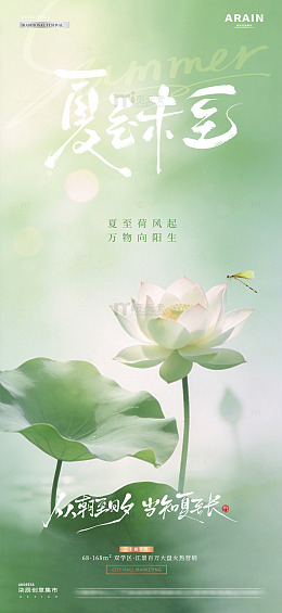 地产夏至小暑荷花海报