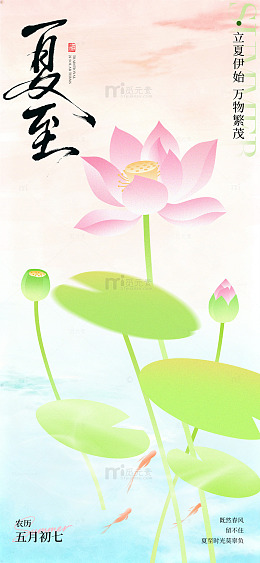国风夏至荷花插画设计素材