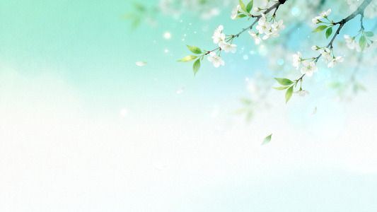 清新风樱花枝头春日背景素材
