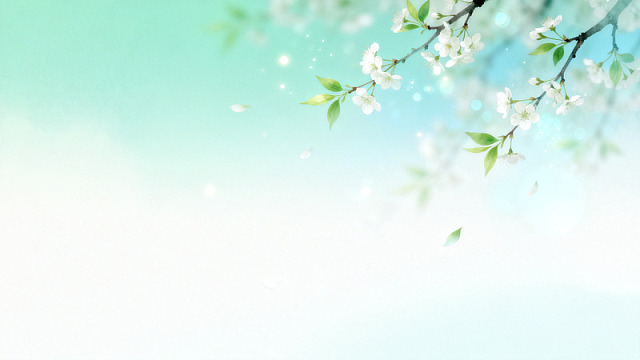 清新风樱花枝头春日背景素材