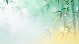 清新风竹林光影自然背景素材