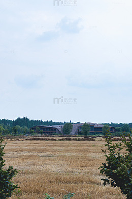 写实风田野列车远景摄影素材