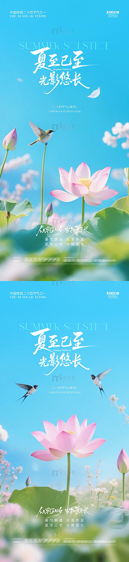 国风夏至节气荷花飞鸟海报设计素材