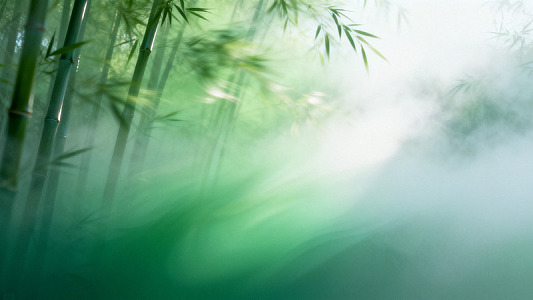 水墨风竹林雾境自然素材