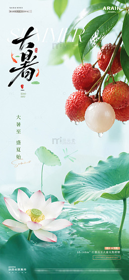 地产小暑大暑荔枝荷叶海报2