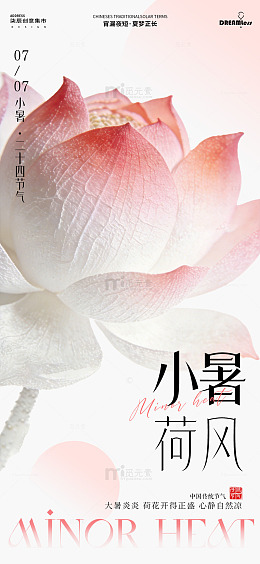 国风小暑节气荷花海报设计素材