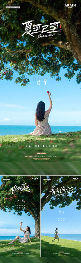 地产夏至小暑夏天荔枝风景海报