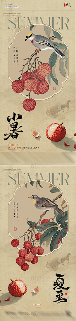地产夏至小暑荔枝插画中式海1