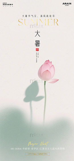极简风大暑节气荷花海报