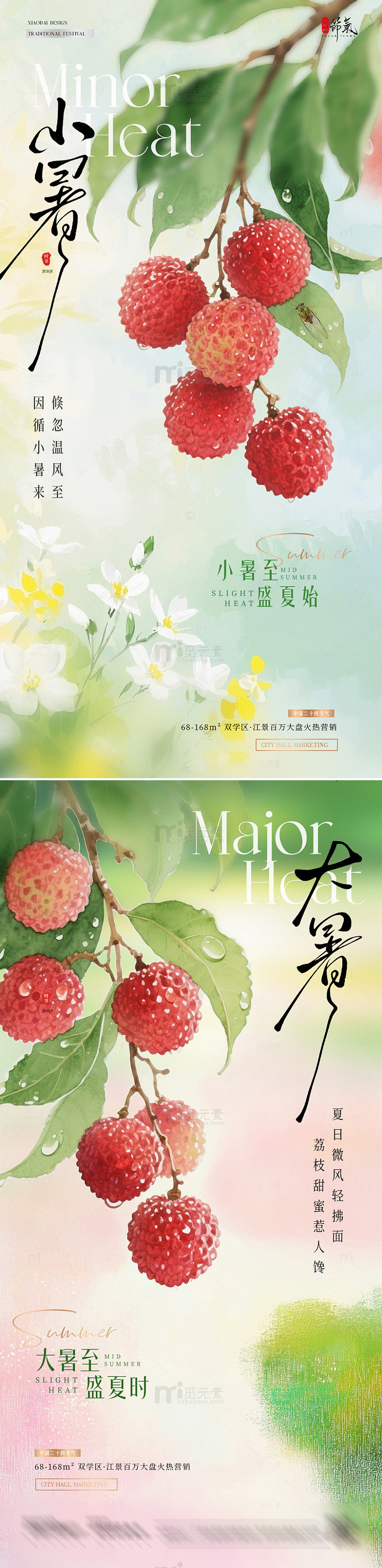 地产小暑大暑荔枝花卉清