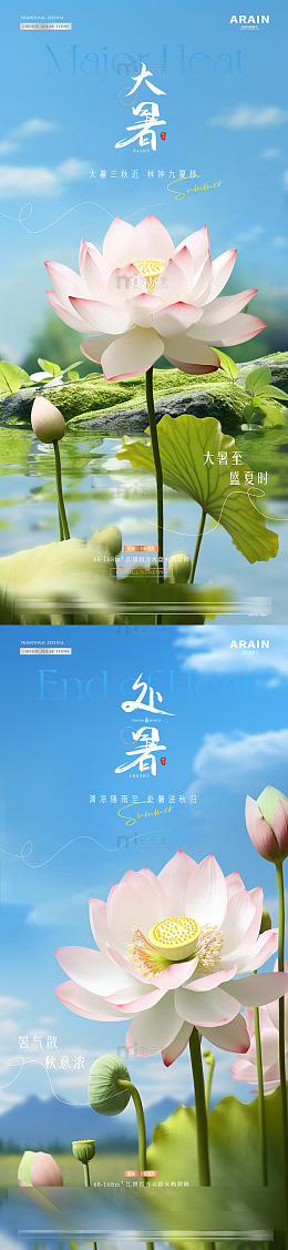 地产大暑处暑荷花风景海2