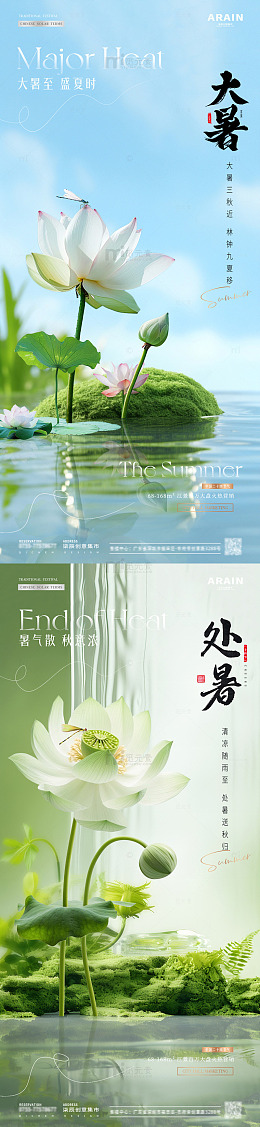 地产大暑处暑荷花场景海1