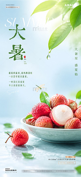 地产大暑处暑荔12