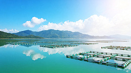 写实风海洋养殖浮排景观设计素材