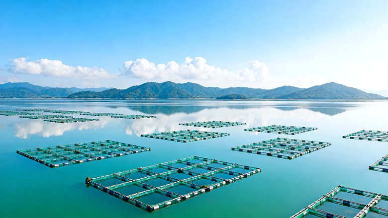 写实风海洋养殖浮排景观设计素材