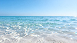 清新风海滩清澈海水素材