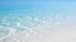清新风热带海滩清澈海水设计素材