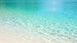 清新风热带海滩清澈海水设计素材